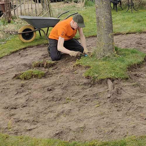 Graszoden verwijderen en wortels zo min mogelijk beschadigen.